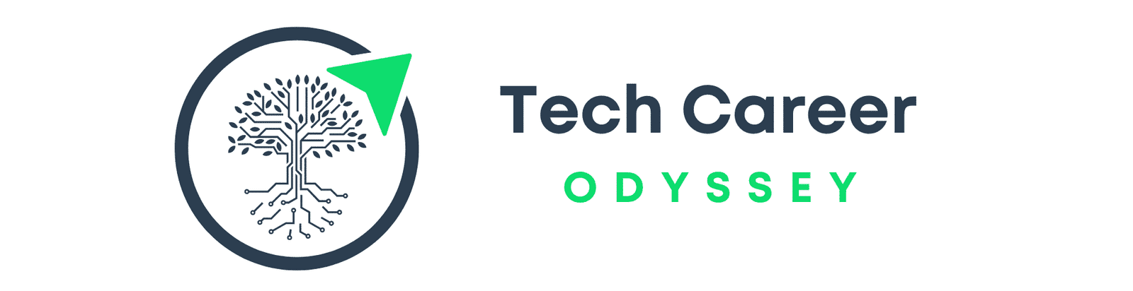 Tech Career Odyssey - Zoltan Tarko banner - Tech Career Coaching & Strategy